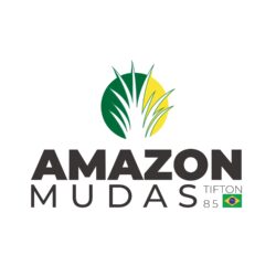 Amazon Mudas